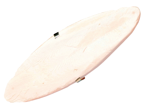 Sépiová kost balená 
