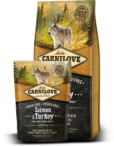 Carnilove Dog Salmon & Turkey for LB Adult 12kg