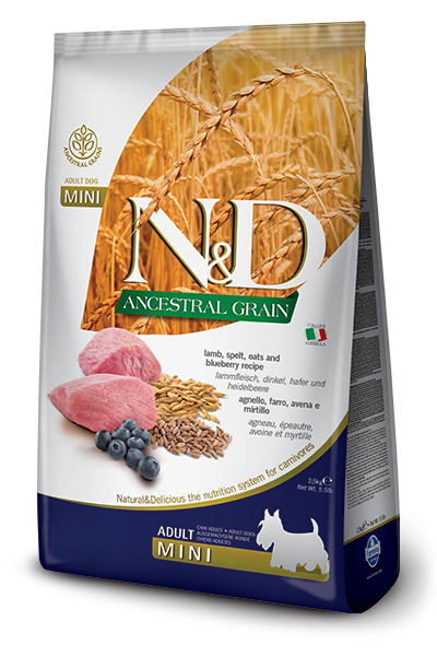 N&D Low Grain Dog Adult Mini Lamb & Blueberry 0,8 kg