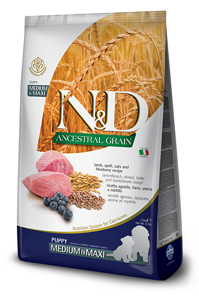 N&D Low Grain Dog Puppy M/L Lamb & Blueberry 12 kg
