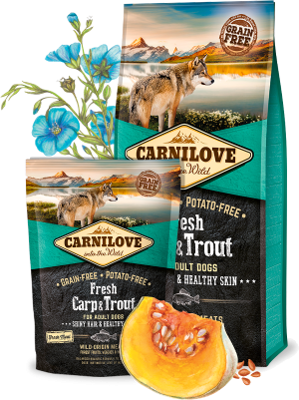 Carnilove Dog Fresh Carp & Trout for Adult 12kg