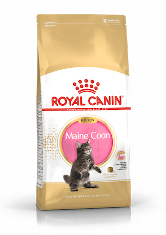Royal Canin Feline BREED Kitten Maine Coon 2kg
