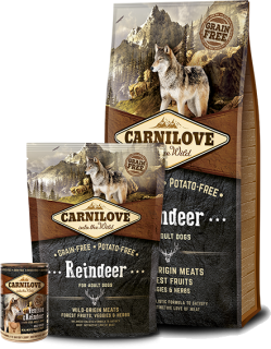 Carnilove Dog Reindeer for Adult 12kg