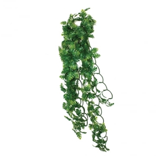 Terarijní rostlina philodendron plant 40cm